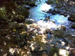 The Creek